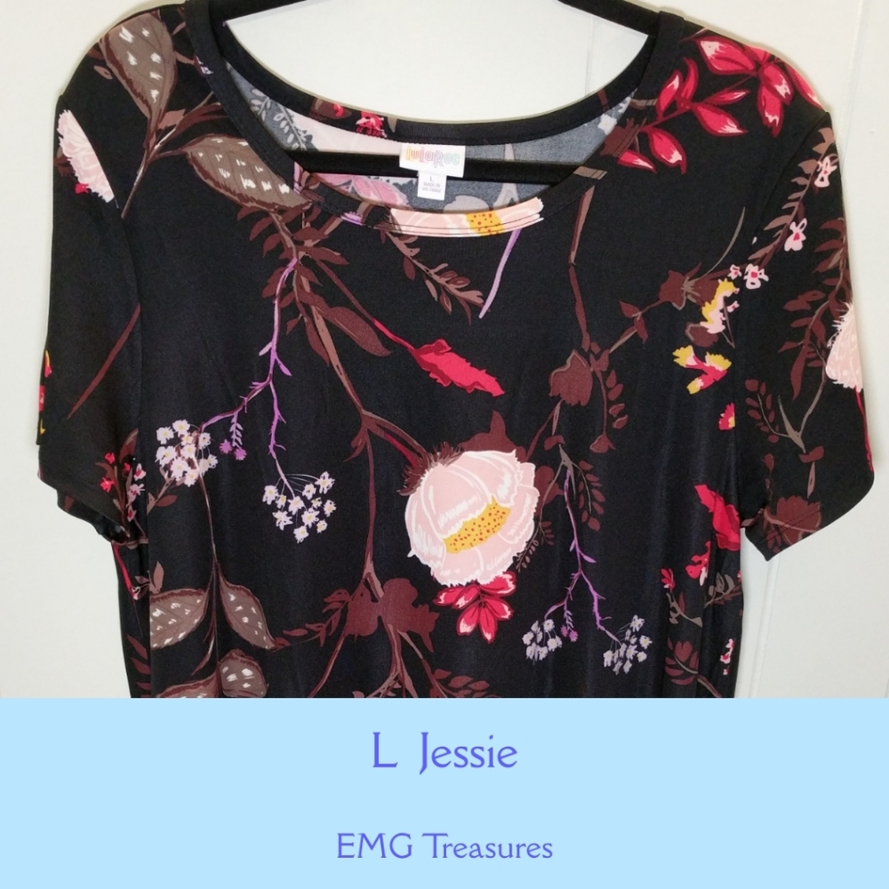 NwT jessie dress